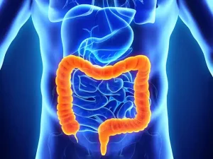 Endoscopia digestiva e prevenzione oncologica