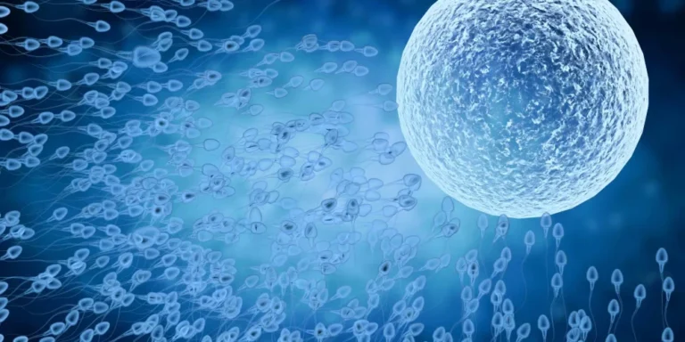 Fecondazione-invitro